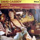 7'' - David Cassidy - January