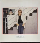 12'' - David Cassidy - The Last Kiss