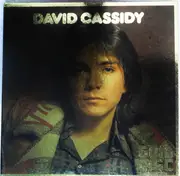 LP - David Cassidy - New Gold Disc - OBI + OIS