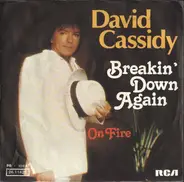 David Cassidy - Breakin' Down Again