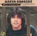 7inch Vinyl Single - David Cassidy - Cherish / All I Wanna Do Is Touch You