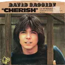 7inch Vinyl Single - David Cassidy - Cherish / All I Wanna Do Is Touch You