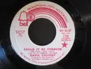 7inch Vinyl Single - David Cassidy - Could It Be Forever