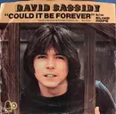7inch Vinyl Single - David Cassidy - Could It Be Forever - Styrene, Mono