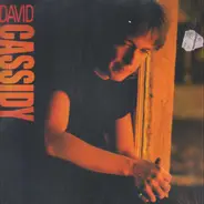 David Cassidy - David Cassidy