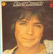 LP - David Cassidy - Forever