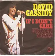 7inch Vinyl Single - David Cassidy - If I Didn't Care