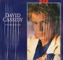 LP - David Cassidy - Romance
