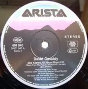 12inch Vinyl Single - David Cassidy - She Knows All About Boys