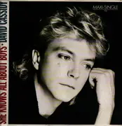 12inch Vinyl Single - David Cassidy - She Knows All About Boys