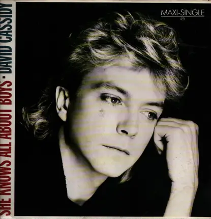 David Cassidy - She Knows All About Boys