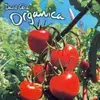 CD - David Celia - Organica