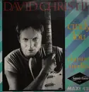 12inch Vinyl Single - David Christie - Cindy Lou / Christie's Medley