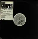 12inch Vinyl Single - David Cooper - Do You Know
