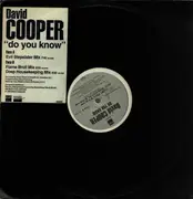 12inch Vinyl Single - David Cooper - Do You Know