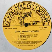 LP - David Cohen - Rock N' Roll Guitar