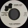 7inch Vinyl Single - David Copperfield - Summer Days