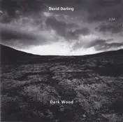 David Darling - Dark Wood