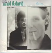 David & David - Swallowed by the Cracks