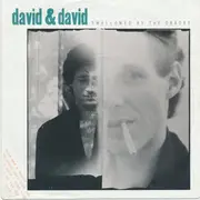 7inch Vinyl Single - David + David - Swallowed By The Cracks