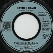 7inch Vinyl Single - David + David - Swallowed By The Cracks