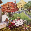 LP - David Dondero - The Filter Bubble Blues