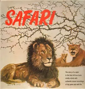 David Dunlop - Safari