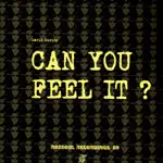 David Duriez - Can You Feel It?