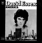 7inch Vinyl Single - David Essex - America