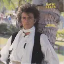 7inch Vinyl Single - David Essex - Friends