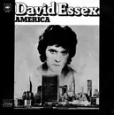 7inch Vinyl Single - David Essex - America