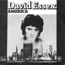 7inch Vinyl Single - David Essex - America