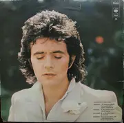LP - David Essex - David Essex - Gatefold