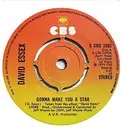 7inch Vinyl Single - David Essex - Gonna Make You A Star - Pushout centre