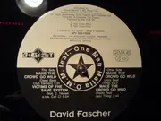 12inch Vinyl Single - David Fascher Featuring One Man Mafia O.M.M. - Make The Crowd Go Wild