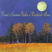 David "Fathead" Newman - Under A Woodstock Moon