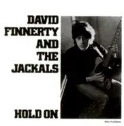 David Finnerty And The Jackals - Hold On