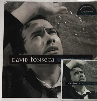 David Fonseca - Between Waves