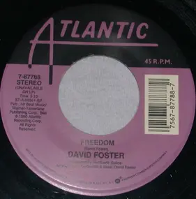 David Foster - Freedom / Grown-Up Christmas List