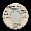 7inch Vinyl Single - David Frizzell - Why You Been Gone So Long - promo