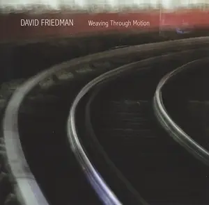 David Friedman - Weaving Through Motion