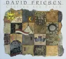 CD - David Friesen - Castles And Flags - Digipak
