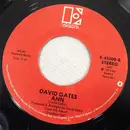 7inch Vinyl Single - David Gates - Took The Last Train / Ann - Red Label