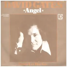 David Gates - Angel