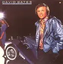 LP - David Gates - Falling In Love Again