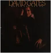 David Gates - Never Let Her Go