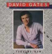 David Gates - Take Me Now