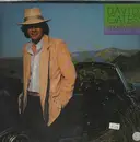 LP - David Gates - Goodbye Girl