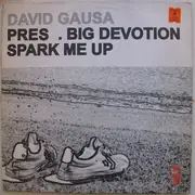 12inch Vinyl Single - David Gausa - Spark Me Up