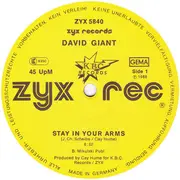 12inch Vinyl Single - David Giant - Stay In Your Arms